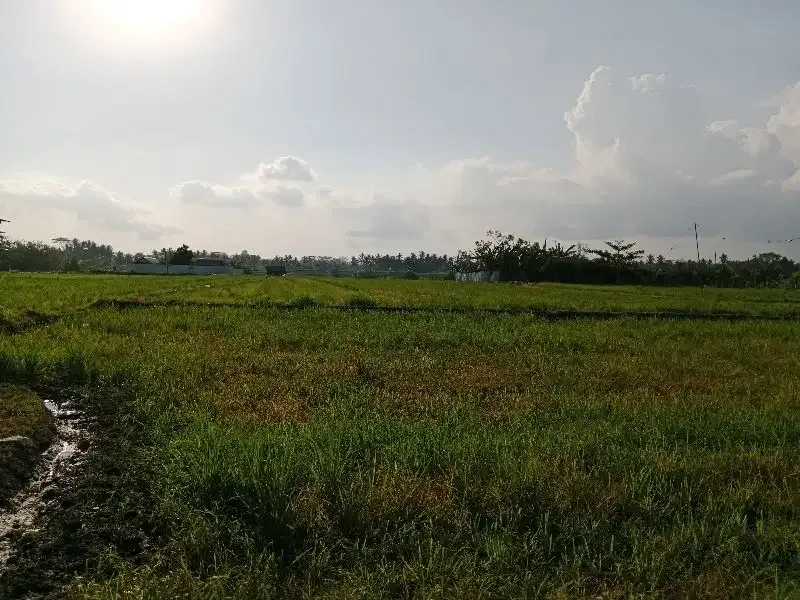DIJUAL TANAH COCOK UNTUK GUDANG DAN USAHA - Bali in Bali