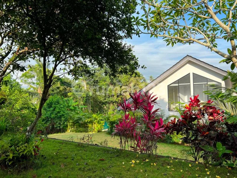 Rumah Ubud - Real Estate in Bali
