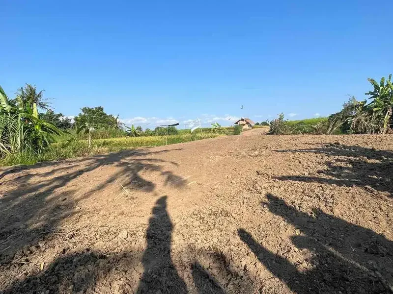 Dijual Tanah Super BUC 200 Meter Dari Pantai Kedungu - Real Estate in Bali