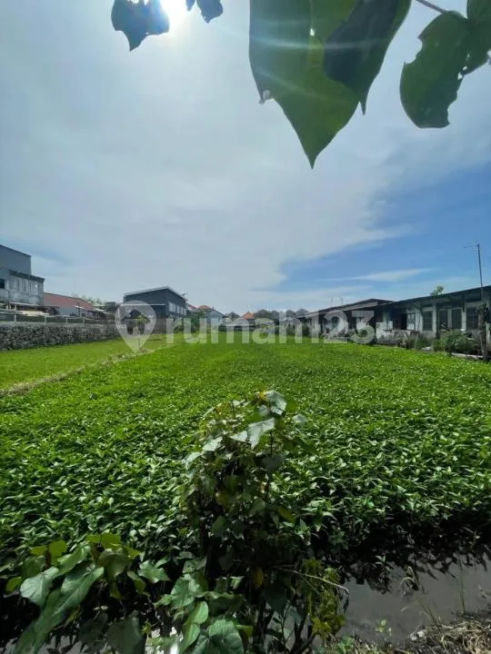 Tanah Luas Zona Kuning Area Strategis Nakula Seminyak Badung - Real Estate in Bali