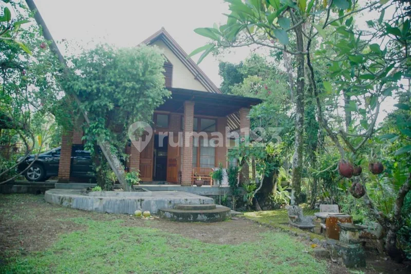 Rumah Vila Super Luas Suasan Tenang Bajera Tabanan Bali - Real Estate in Bali