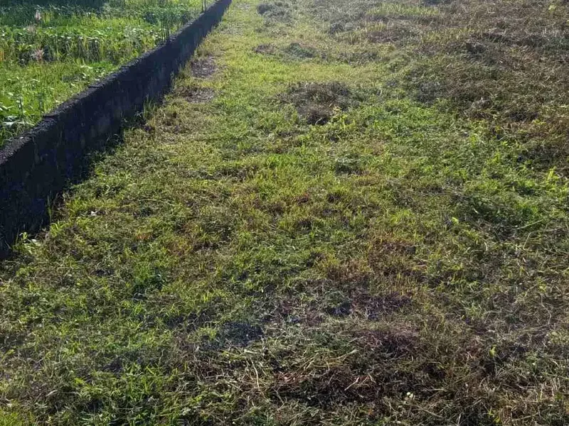 Tanah 200m Dari Pantai Cemagi Canggu. Milik Sendiri. - Real Estate in Bali