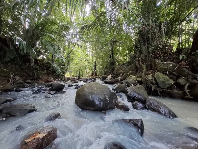 Dijual tanah cantik los sungai dan view sawah di tabanan bali - Bali in Bali