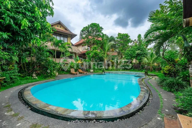Cozy Jungle View Studio Apartment In Ubud For Sale - Real Estate in Bali