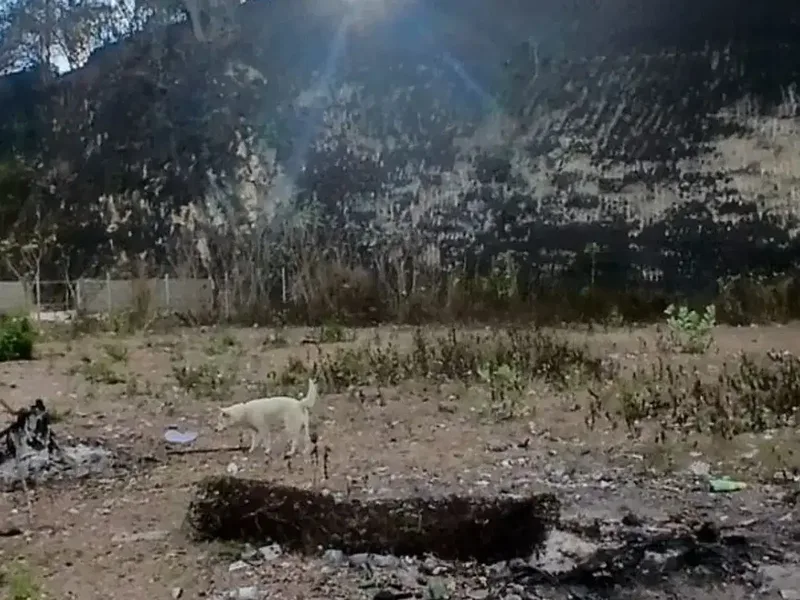 TANAH KAVLING DEKAT GWK ZONA PERUMAHAN UNGASAN BADUNG - Real Estate in Bali