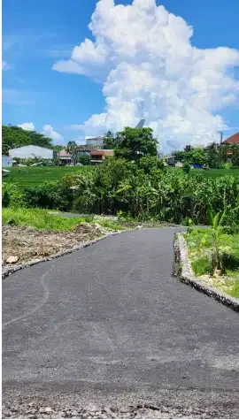 Tanah 2 Are di Kerobokan - Real Estate in Bali