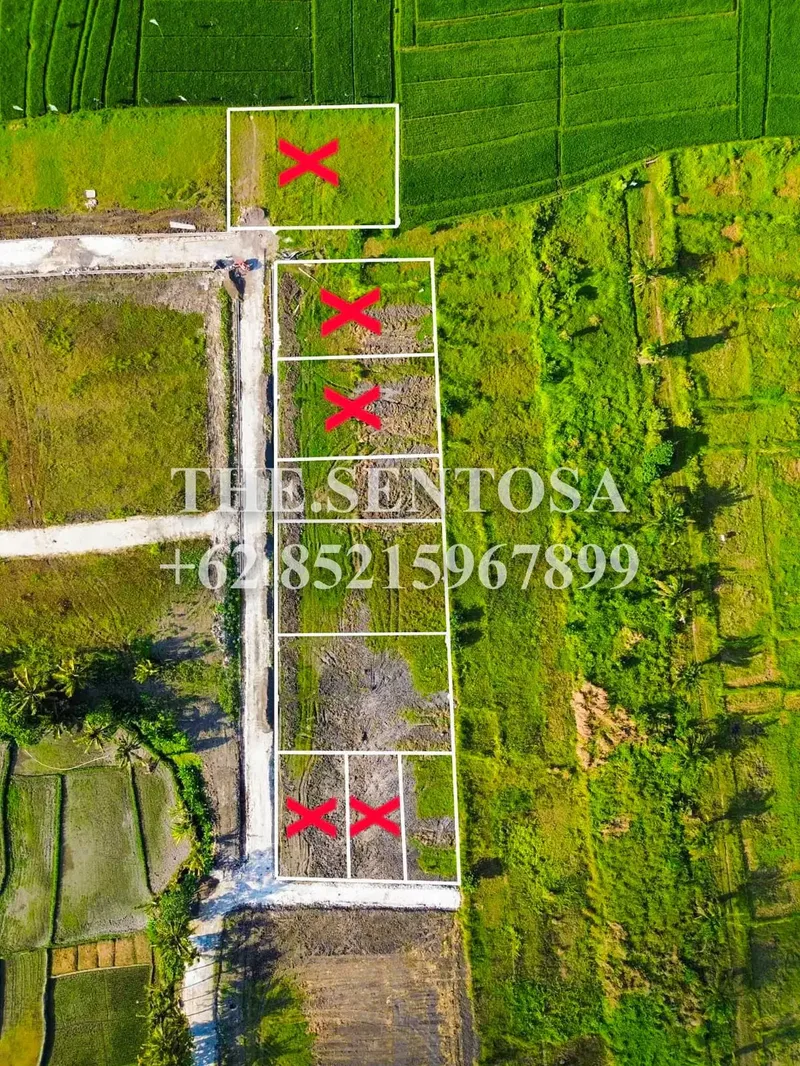 TANAH KEDUNGU PANTAI CINTA BALI - Real Estate in Bali