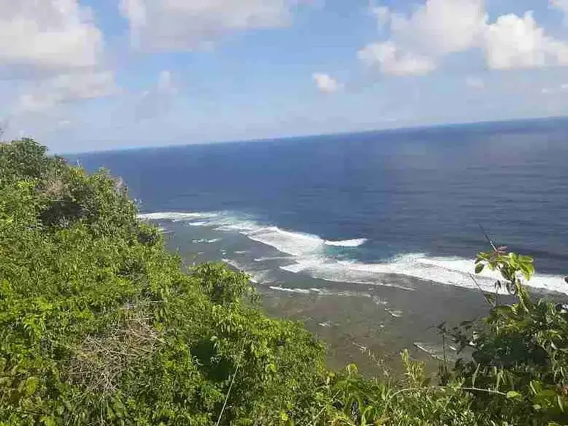 DIJUAL TANAH TEBING, NYANG NYANG, ULUWATU - Real Estate in Bali