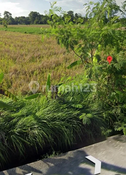 Pantai Nyanyi Beraban Tabanan Kav Itr Hijau - Bali in Bali