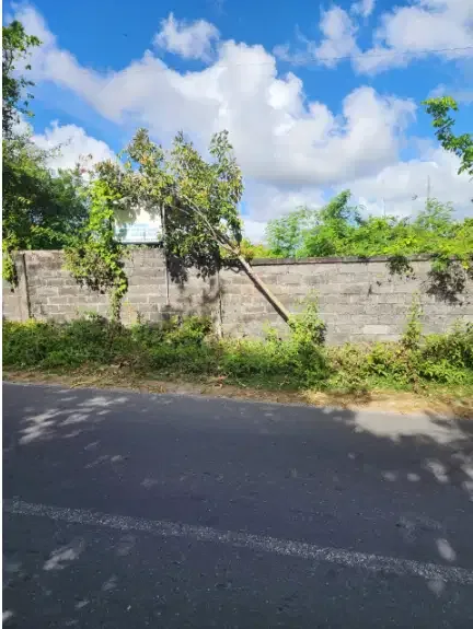 Tanah Jalan Utama Goa Gong,Ungasan - Real Estate in Bali