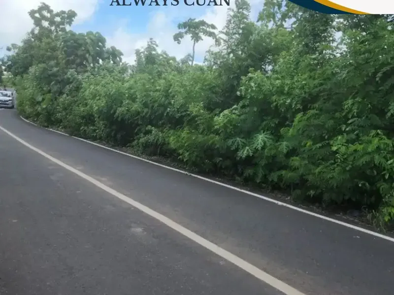 Freehold Tanah Strategis Area Kutuh Kuta Selatan Siap Bangun - Real Estate in Bali
