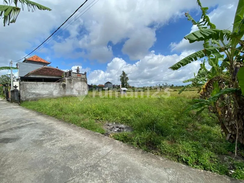 Tanah Jual Cepat SHM View Sawah Batubulan Gianyar - Real Estate in Bali