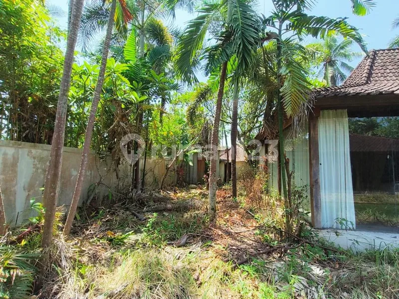 Dijual Villa di Lodtunduh Dijual Hitung Tanah Saja - Real Estate in Bali