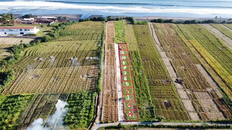 Tanah Kavling Premium Dekat Pantai Pasut Tibubiyu Kerambitan Tabanan - Bali in Bali