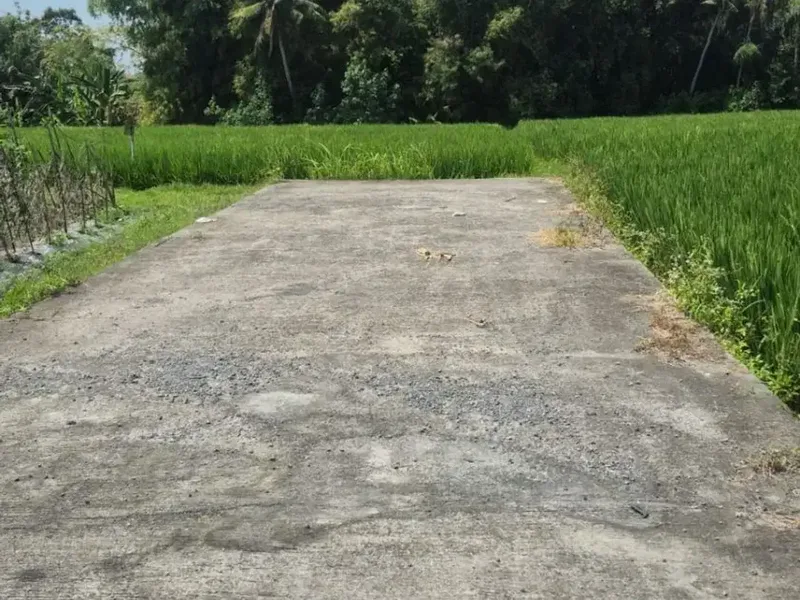 Land For sale pantai kedungu dekat ke tanah lot - Real Estate in Bali