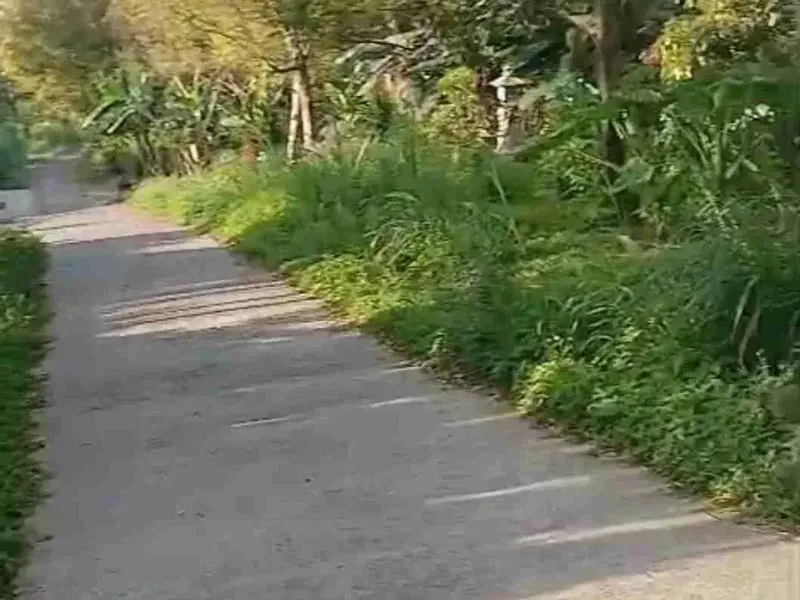 Tanah View Lembah di Wanagiri dekat Giriwood dan Munduk Moding - Real Estate in Bali