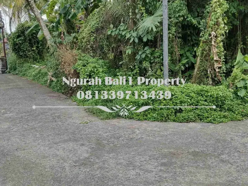 Dijual Tanah Murah Luas 250 m2 Kawasan Villa di Ubud Pejeng - Real Estate in Bali