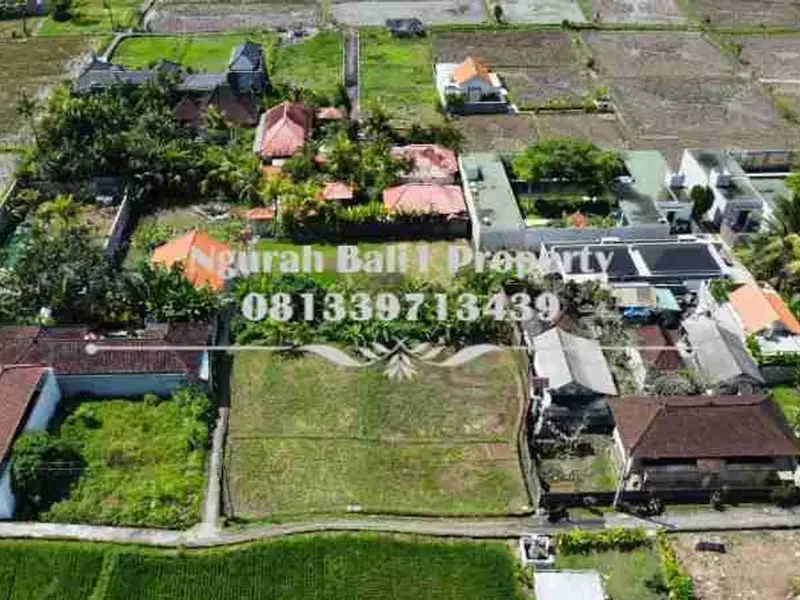 Land For Rent Murah Luas 1300 m2 Kawasan Villa di Ubud - Real Estate in Bali