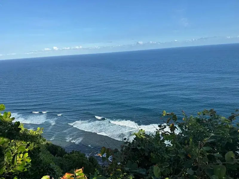 Dijual Tanah Tebing Pecatu Kuta Selatan - Real Estate in Bali