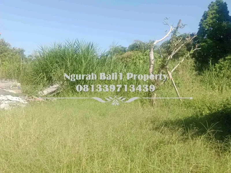 Tanah Dijual Murah Luas 2 Are Kawasan Villa di Ubud - Real Estate in Bali