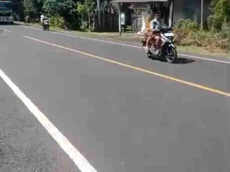 TANAH MURAH JALAN DENPASAR GILIMANUK YEH EMBANG NEGARA COCOK UNTUK USAHA DLL - Bali in Bali