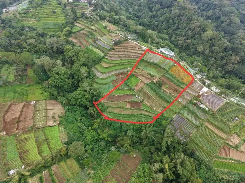 Tanah view pegunungan bedugul - Real Estate in Bali