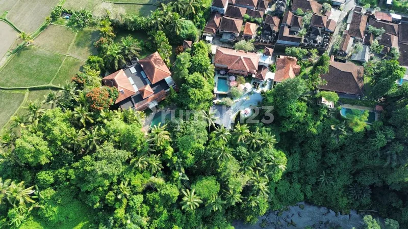 Dijual Villa Mewah Los Sungai Petanu - Ubud View Hutan & Sawah - Real Estate in Bali