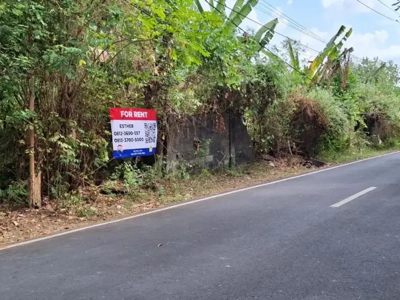 Tanah 15 Are Disewakan Memiliki Dua Akses Jalan, di Jimbaran - Real Estate in Bali