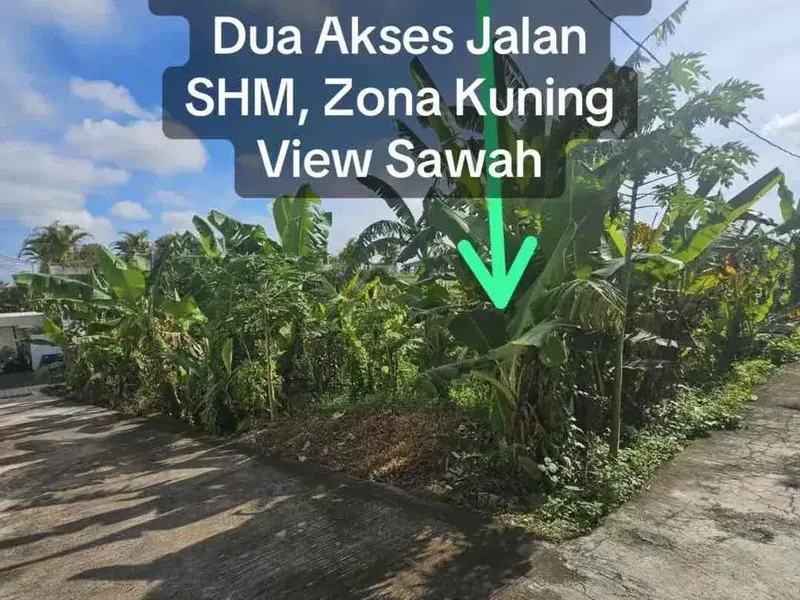 SALE Tanah Hook 310 M² View Sawah Tumbak Bayuh - Bali in Bali