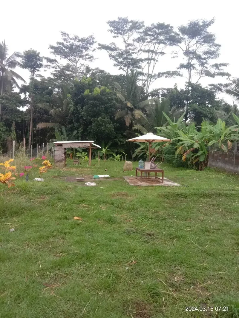 Dijual Tanah View Sawah di Desa Buahan, Tabanan - Real Estate in Bali