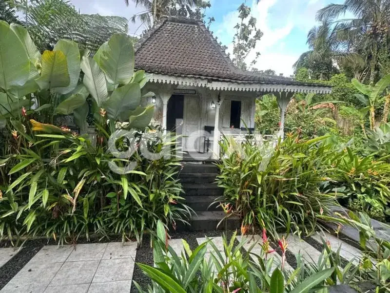 VILLA JOGLO DI PUHU PAYANGAN GIANYAR, BALI - Real Estate in Bali