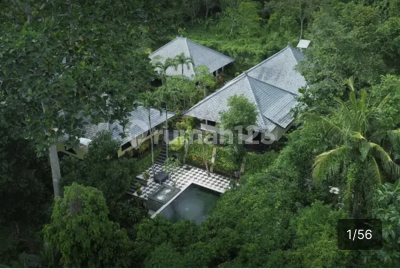 Riverside Serenity Villa Tabanan Tanah Lot Bali - Real Estate in Bali