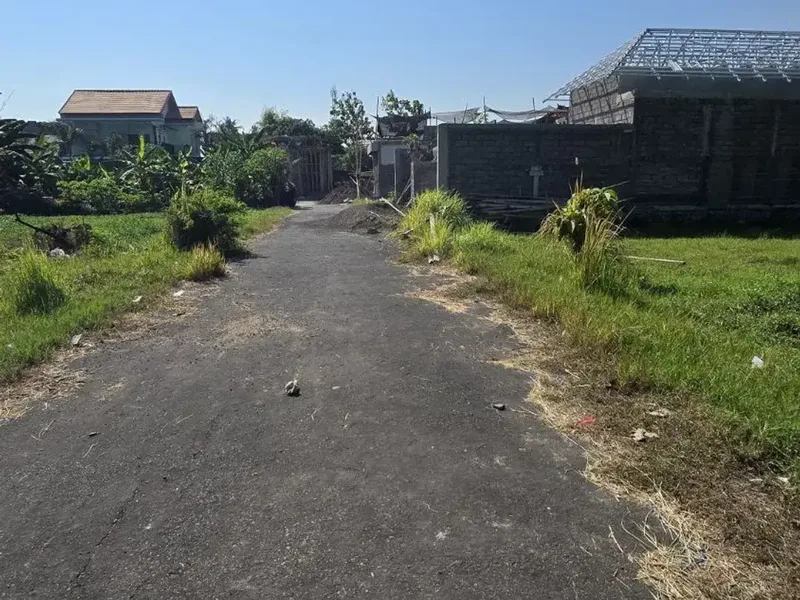 Tanah Strategis 1,88 Are Dijual di Lovina Bali - Real Estate in Bali