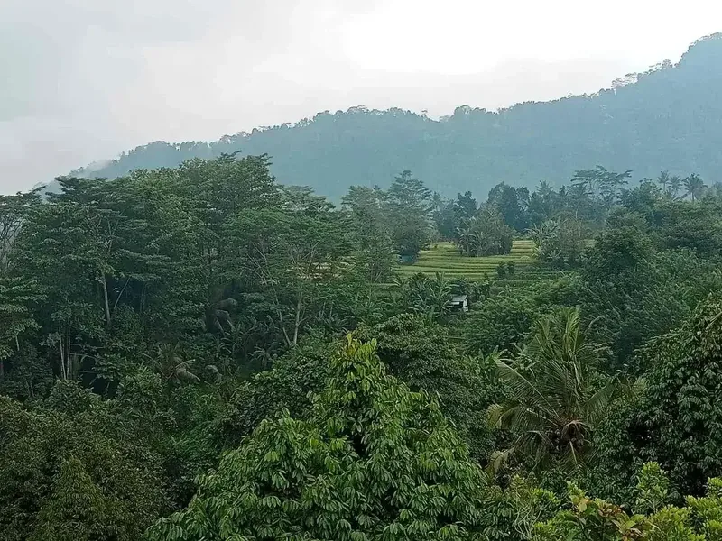 Tanah Sidemen jungle Riceview - Real Estate in Bali