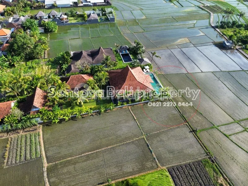 Luxury Villa View Sawah di Panyai Nyanyi Badung Bali - Real Estate in Bali