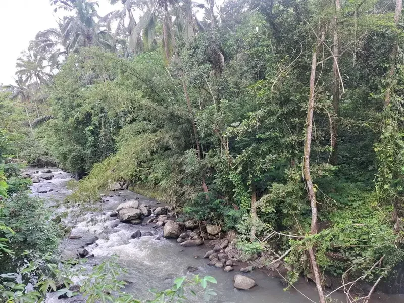 Dijual tanah kecil los sungai besar di tabanan bali - Real Estate in Bali