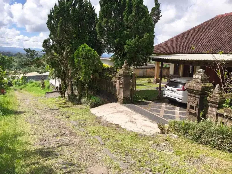 Rumah Murah kawasan Wisata Bedugul - Real Estate in Bali