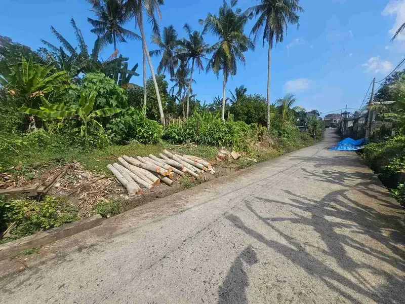 Di jual tanah luas 3.5 are/350 m2 di Yeh Gangga Tabanan deket pantai yeh Gangga -+10 menit - Real Estate in Bali