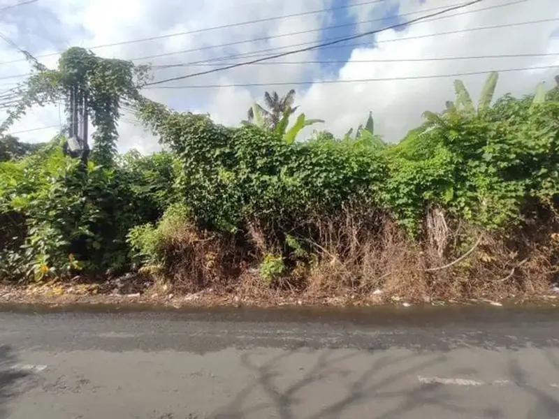 Dijual Tanah 737m² Peguyangan Kangin Denpasar Utara - Real Estate in Bali