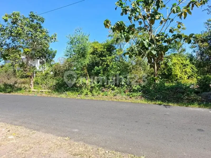 Dijual Tanah Kavling Plot Kecil di Ungasan - Bali in Bali
