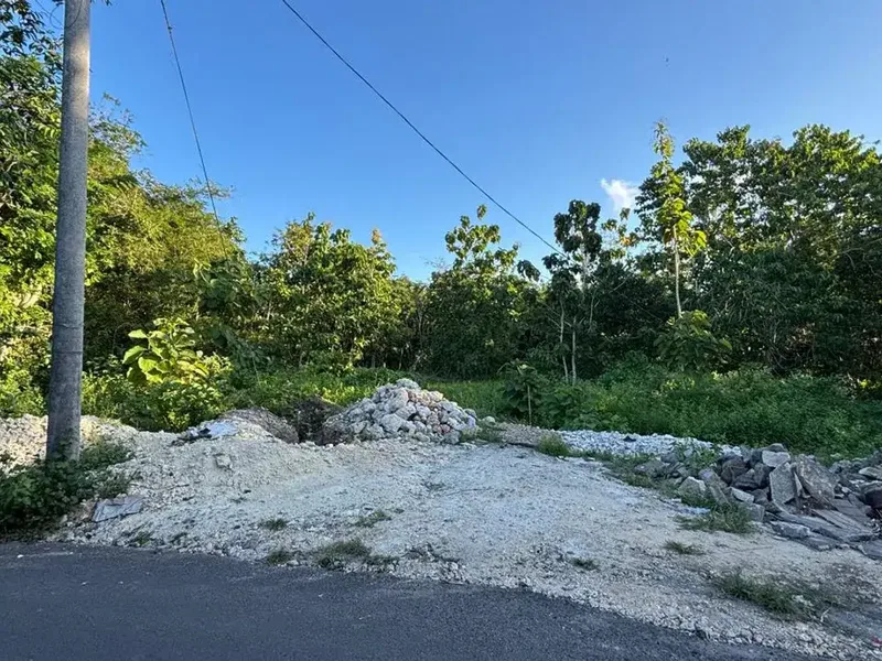 TANAH STRATEGIS DI UNGASAN 300M DARI JALAN RAYA ULUWATU - Bali in Bali