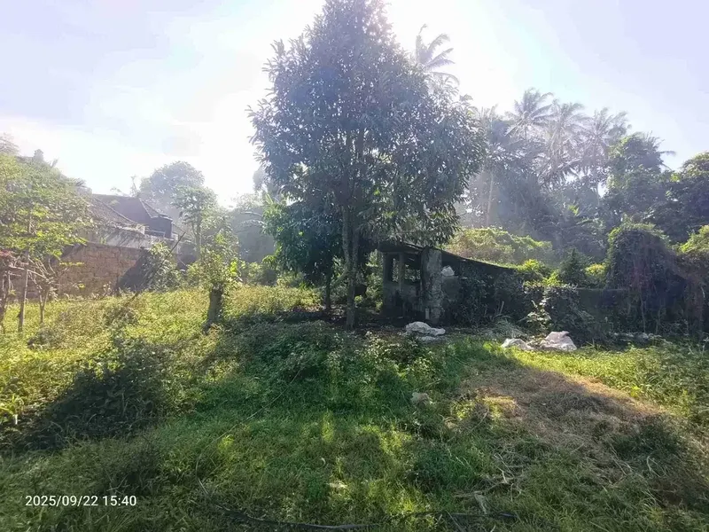 Red Zone Land For Leasehold in Petulu Ubud Bali - Real Estate in Bali