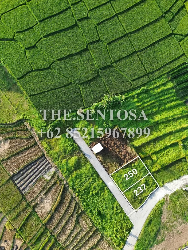 TANAH SIAP BANGUN KEDUNGU dekat NUANU - Real Estate in Bali