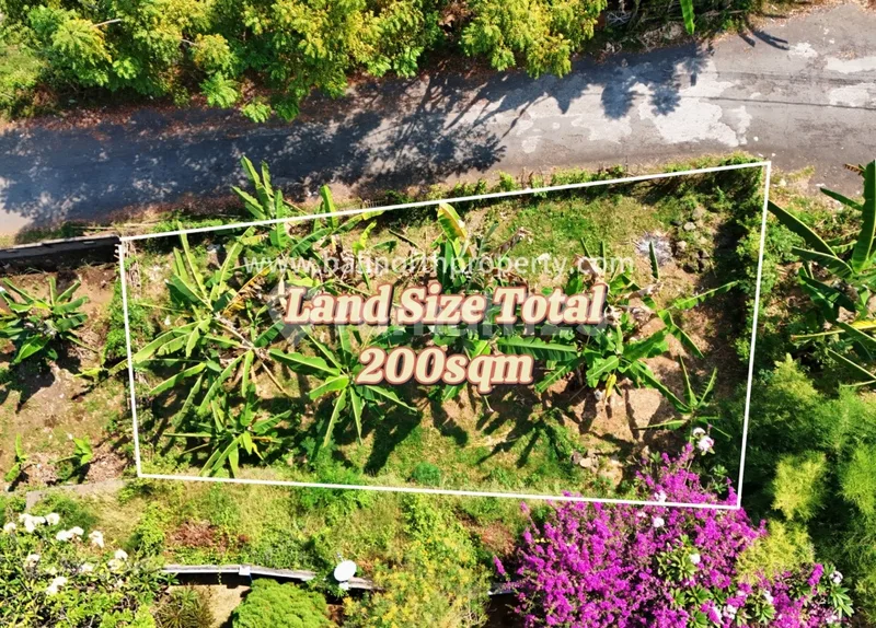 Dijual Tanah SHM 200 MÂ² di Lovina, Bali Utara - Siap Bangun - Real Estate in Bali