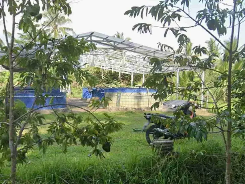 Tanah Kebun Cocok Tanam Durian di Tabanan Bali - Real Estate in Bali