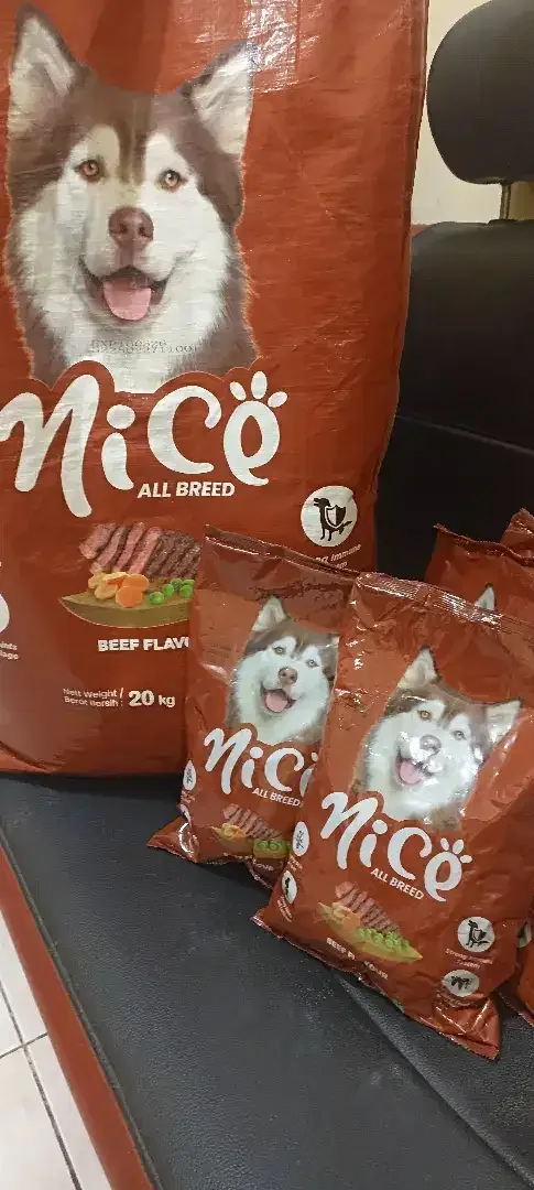 Dog food Nice beef - Other in Bali