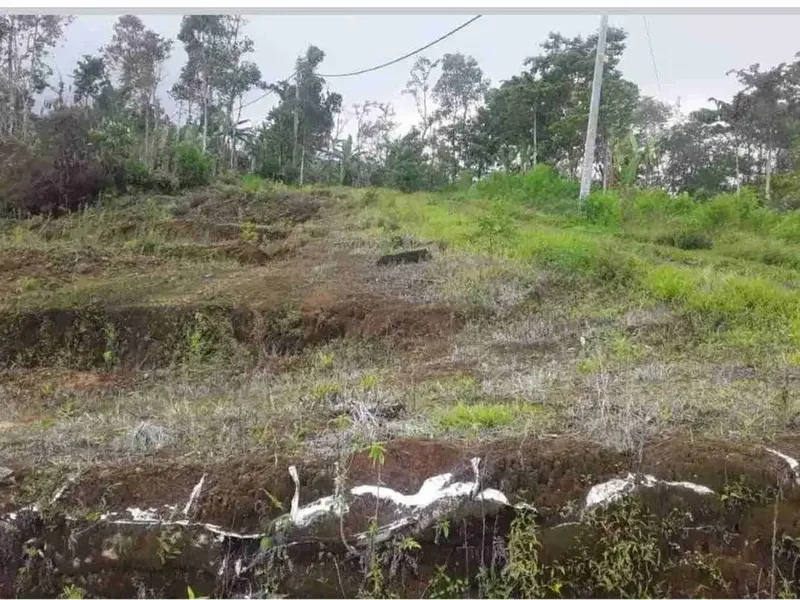 Tanah Luas 39 Ha Dekat Turyapada Tower Buleleng - Bali in Bali