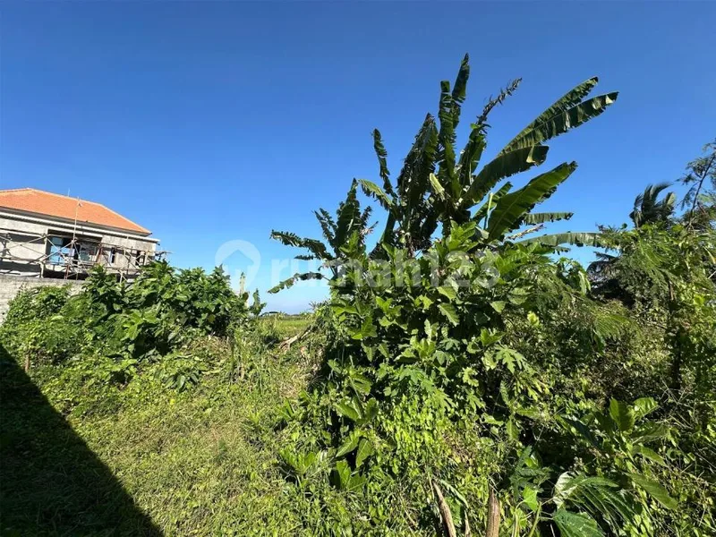 Tanah Pinggir Jalan Utama Pering Dekat Bypass Ida Bagus Mantra - Real Estate in Bali