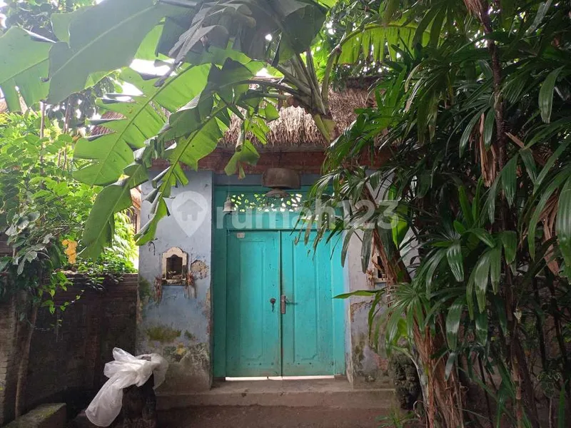 Etnic Bali Villa For Rent Neat Sanur - Bali in Bali