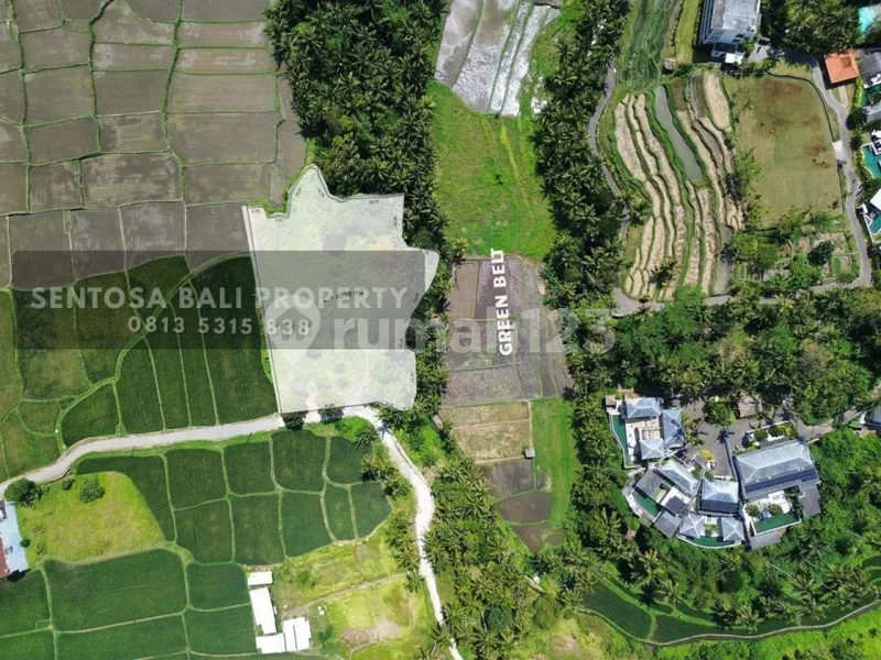 Tanah View Sawah di Lodtunduh Ubud 4018MÂ² - Real Estate in Bali